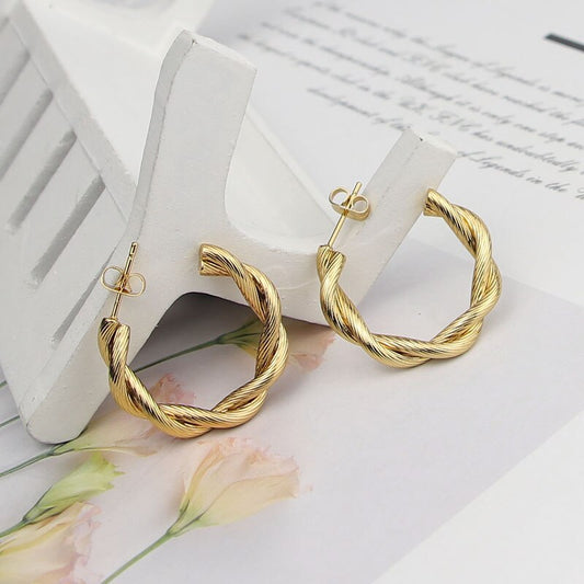 Dual Radiance Stainless Steel Earrings: DivaSteel Party Charisma