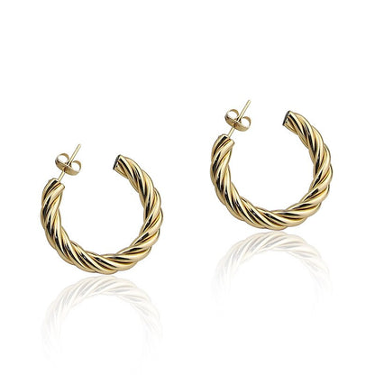 Eternal Twist Stainless Steel Earrings: DivaSteel Party Charisma