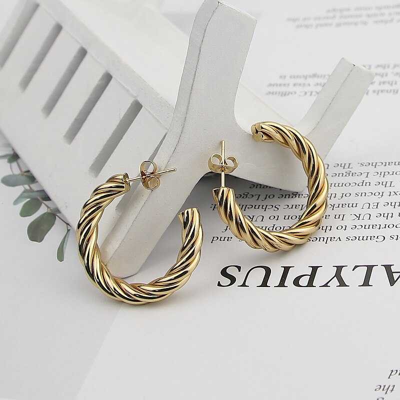 Eternal Twist Stainless Steel Earrings: DivaSteel Party Charisma