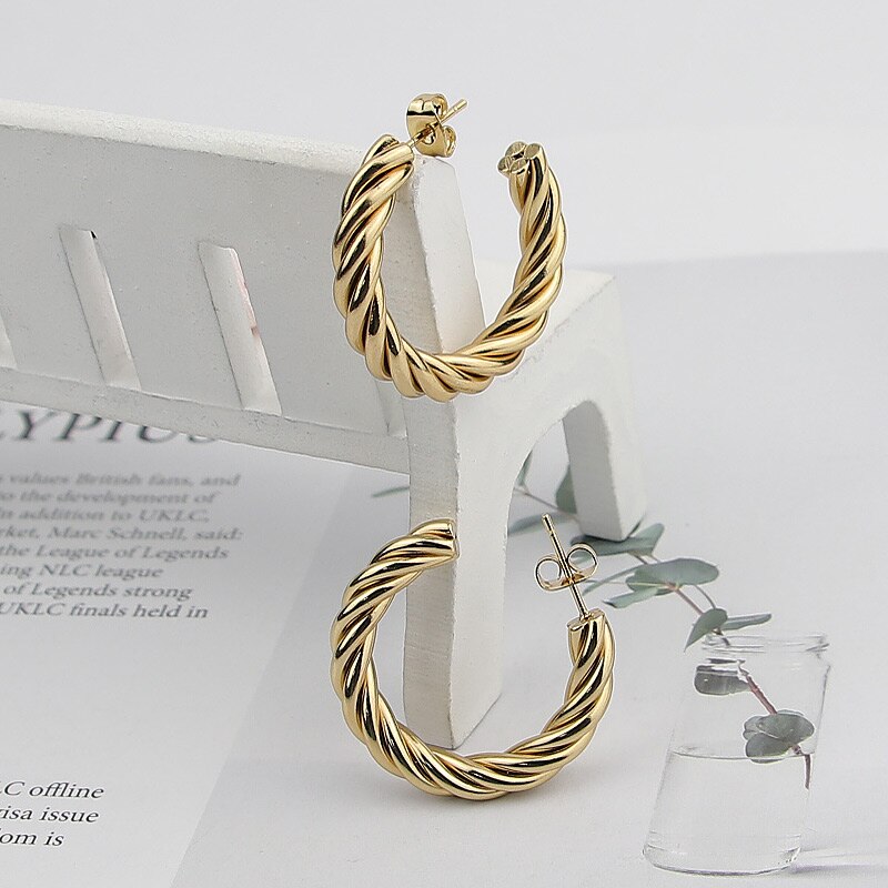 Eternal Twist Stainless Steel Earrings: DivaSteel Party Charisma