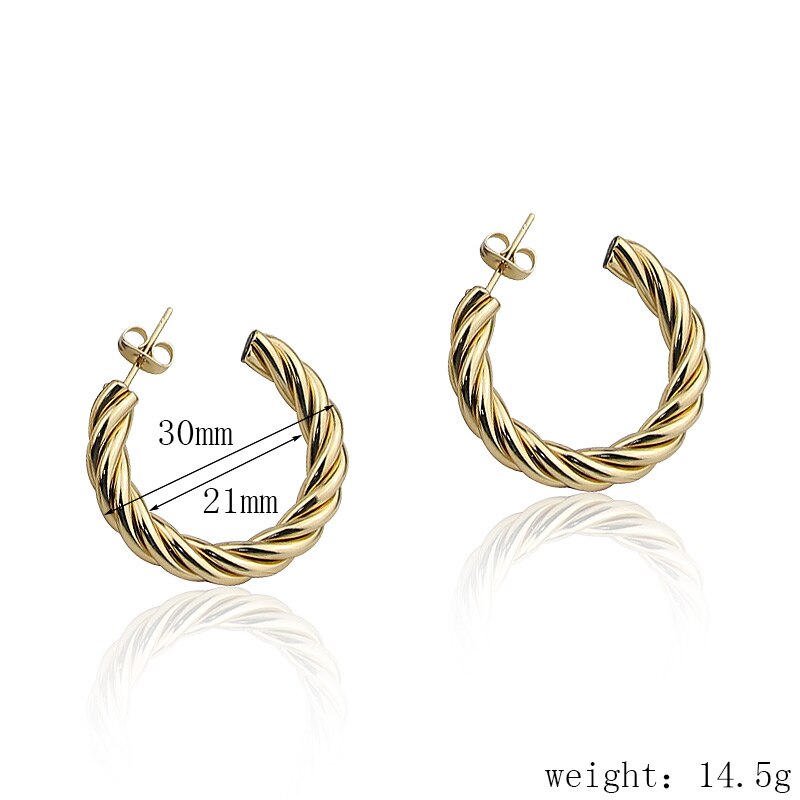 Eternal Twist Stainless Steel Earrings: DivaSteel Party Charisma